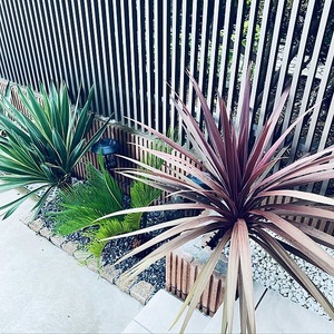S__49889299_0
