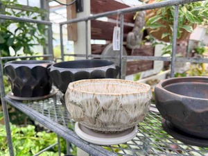 IMG_3932