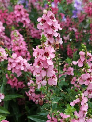 LINE_ALBUM_2024922_240922_7