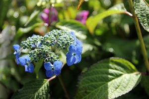 IMG_8025