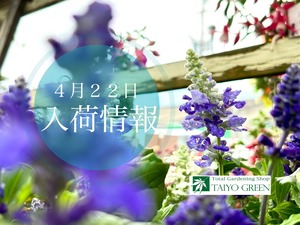 S__40189956_0