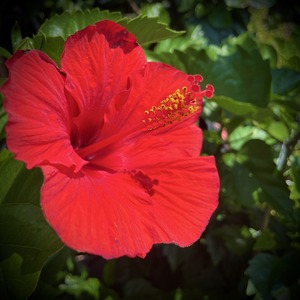 S__47202308_0