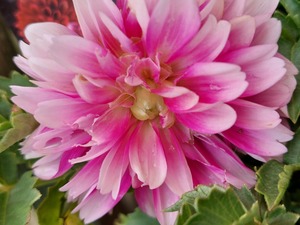 LINE_ALBUM_2024922_240922_3