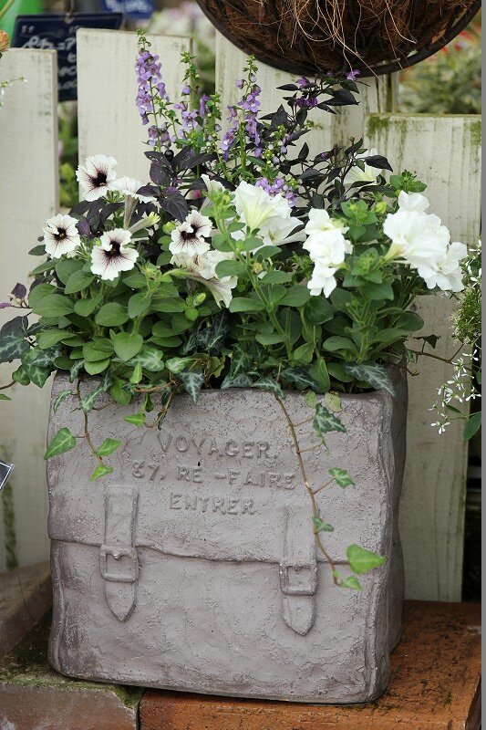 新作寄せ植え達 大洋グリーンブログ