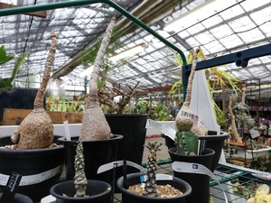 IMG_20190429_164941