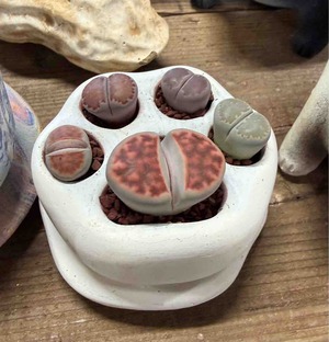 FullSizeRender