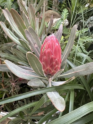 S__92815405_0