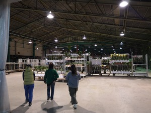 IMG_20191104_181328