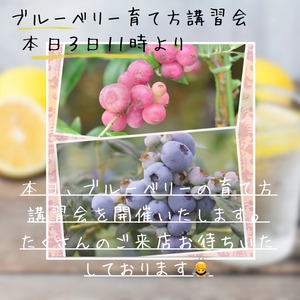 S__92217579_0