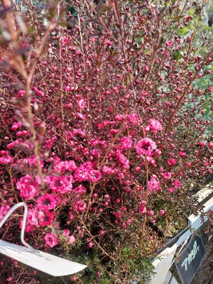 LINE_ALBUM_2025122_250122_4