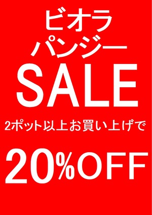ビオラ20off