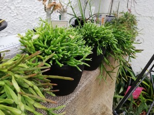 IMG_20190429_164911
