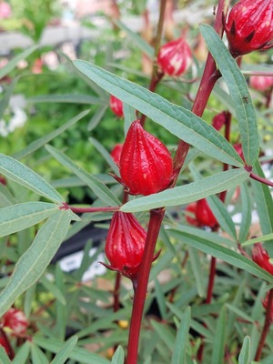 LINE_ALBUM_2024922_240922_5