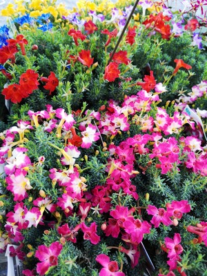 IMG_20191008_170610