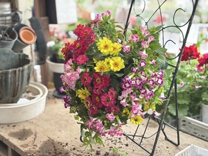 S__40943745_0