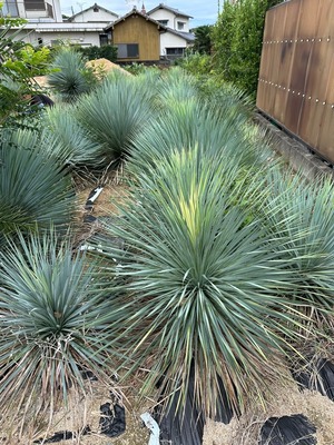 LINE_ALBUM_2024104_241004_7