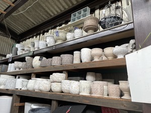 S__46055433_0