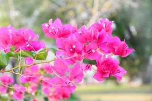 S__49889297_0