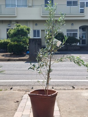 LINE_ALBUM_2024109_241009_7