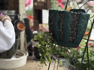 S__40943762_0