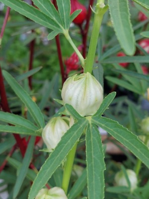 LINE_ALBUM_2024922_240922_6