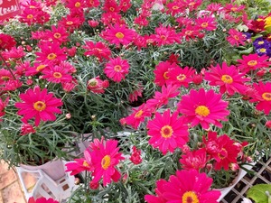 LINE_ALBUM_2025122_250122_12