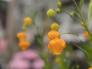 S__40189994_0