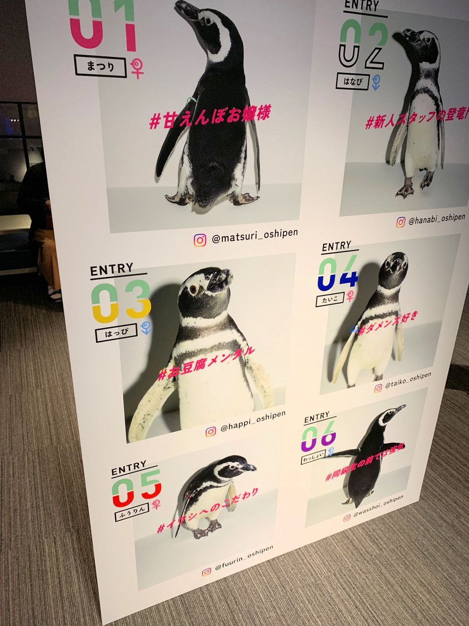 推しペン 愛犬のしつけ教室開催のお知らせ 太陽ハウスのまいにち