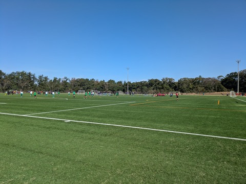 PXL_20260308_014110573