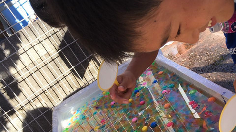 霧島市長旗杯_ホームステイ (20)