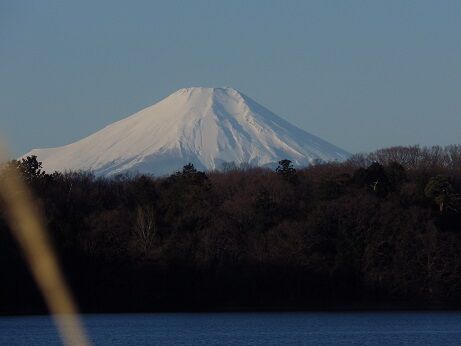 富士山④