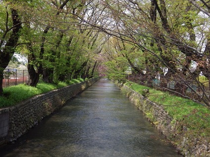 金・水鏡②