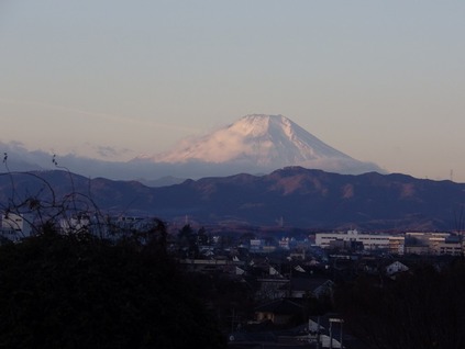 富士山①