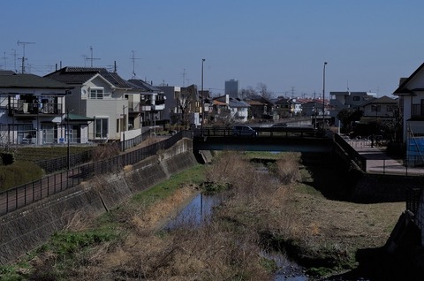 新砂の川橋から②