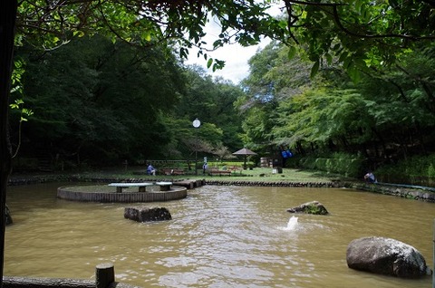 野山北⑤