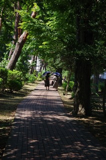 遊歩道①