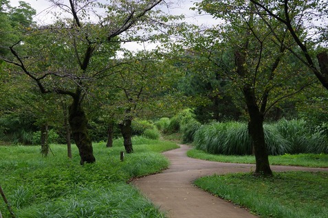 狭山公園③