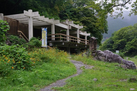 遊歩道②