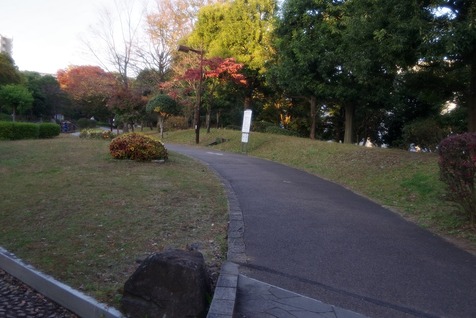 南公園②