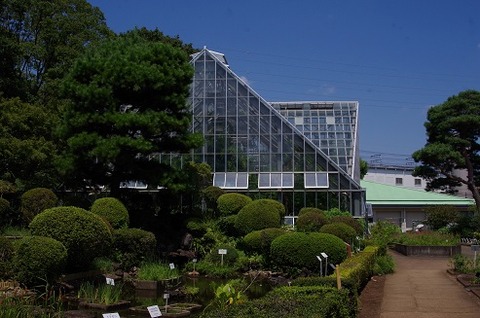 植物園④