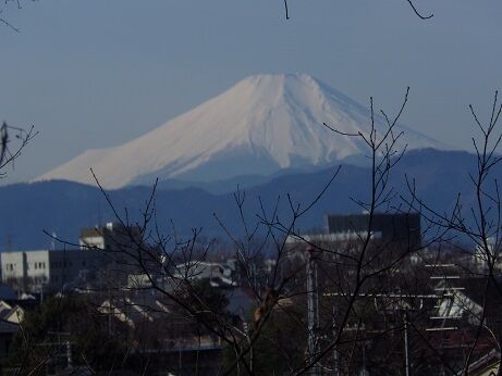 郷土富士④