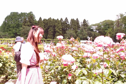 バラ⑲