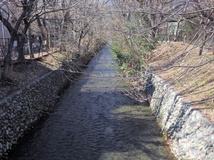 玉川上水橋から②