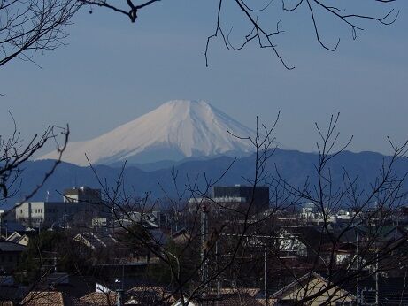 郷土富士②