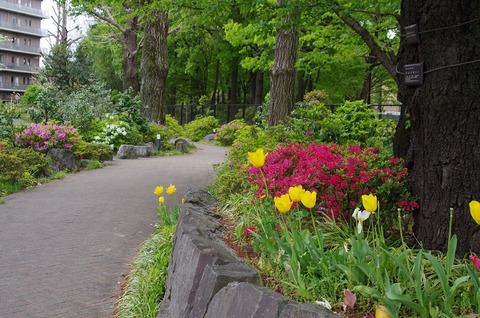 南公園入口①