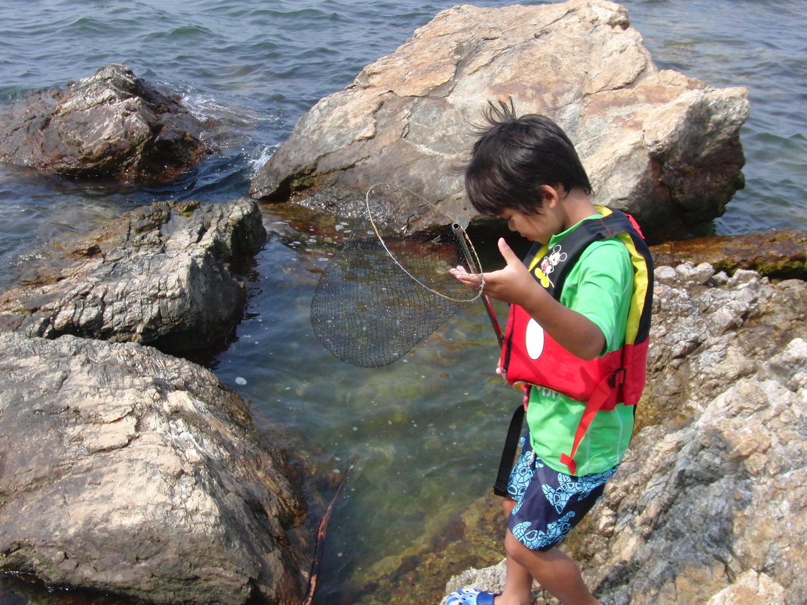 礫島上陸 たいようといっしょ