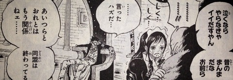 ワンピース てのひらをタイヨウに