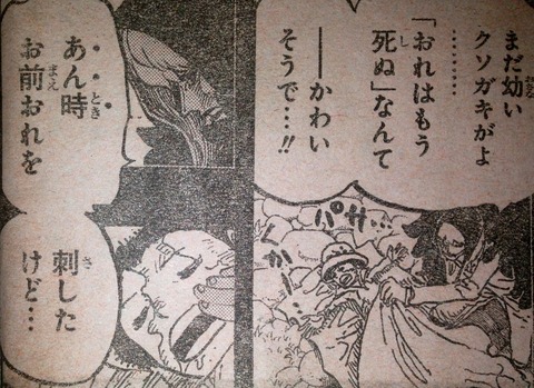 ワンピース てのひらをタイヨウに