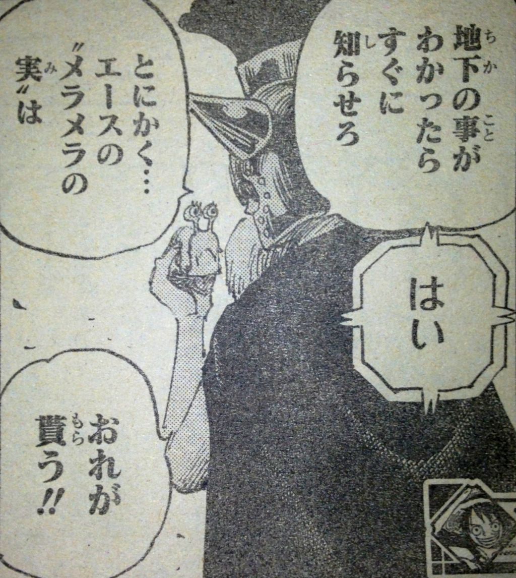 第731話 ドレスローザsop作戦 てのひらをタイヨウに