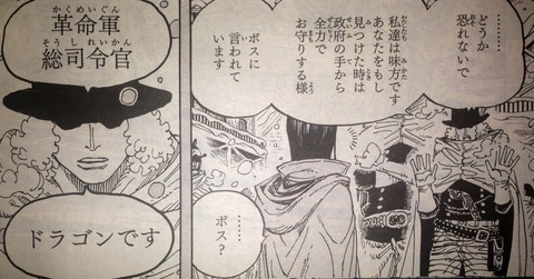 ワンピース てのひらをタイヨウに